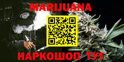 шишки Будённовск